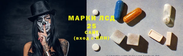 стаф Сатка