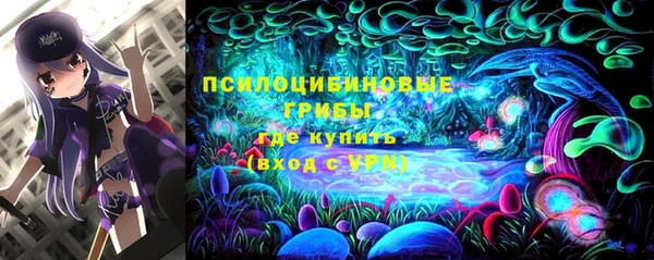 твердый Саяногорск