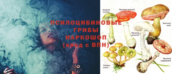 дурь Арсеньев