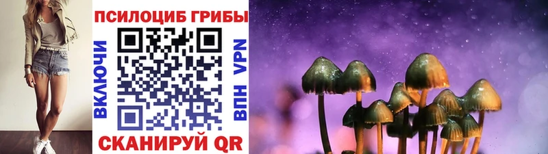 наркошоп  Асбест  Галлюциногенные грибы Psilocybe 
